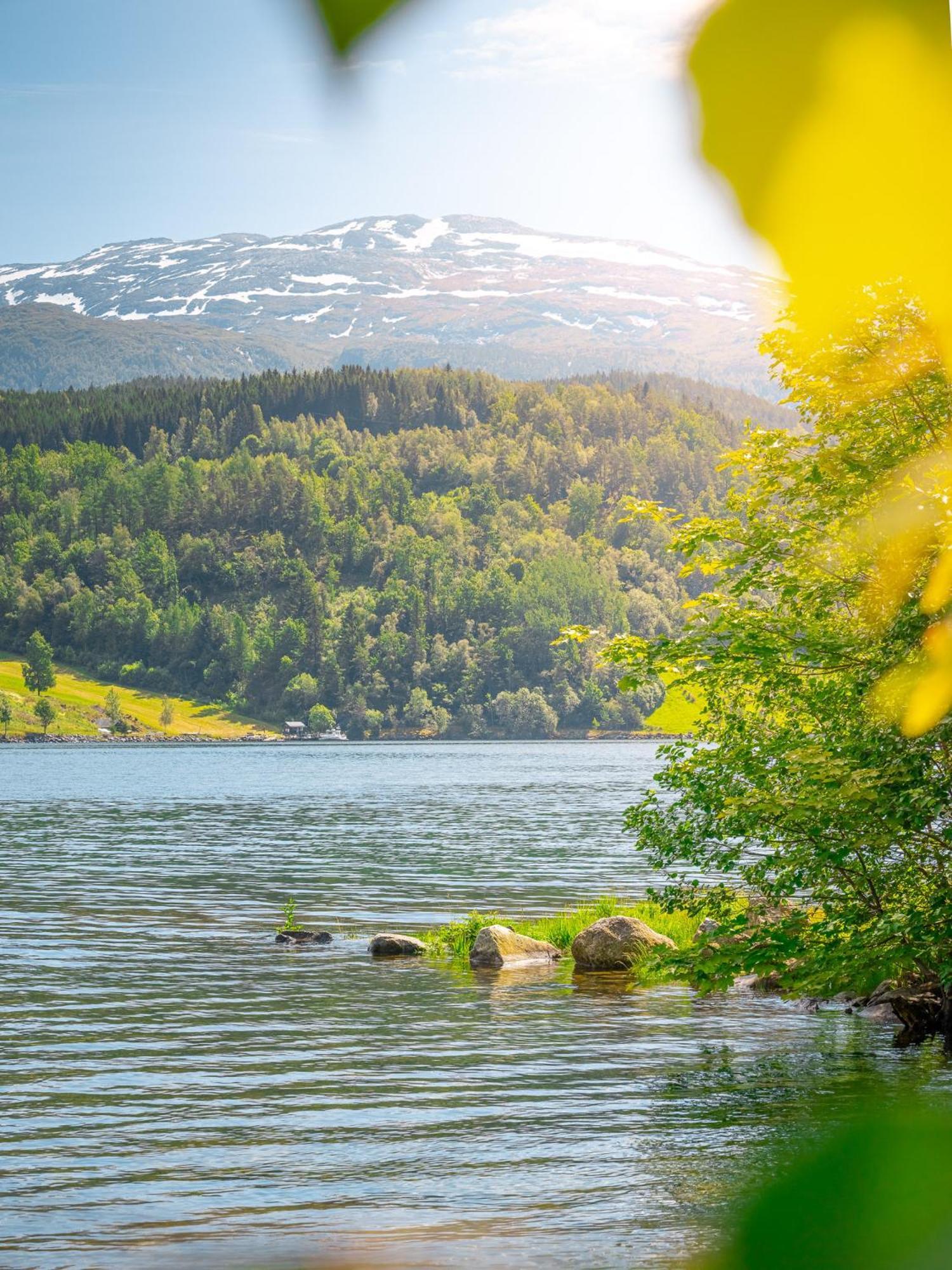 Ulvik Camping Camping